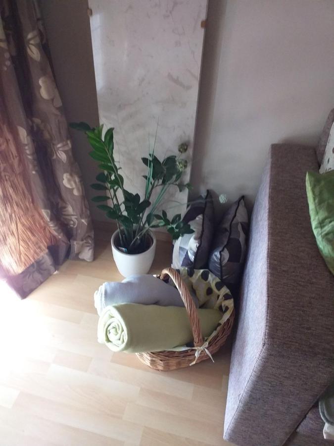 Apartman Luxury Sonja *